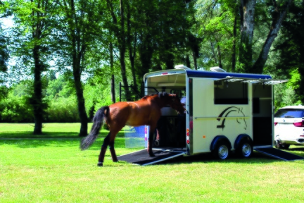 Remorque Van à Chevaux - MAXI 3