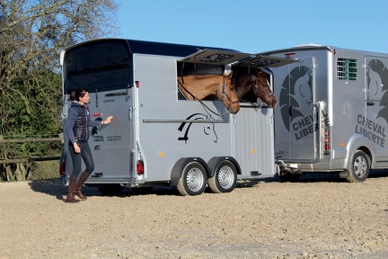 Remorque Van à Chevaux - MAXI 2