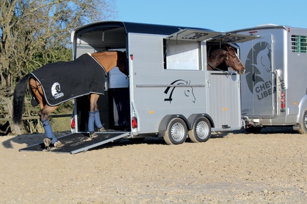 Remorque Van à Chevaux - MAXI 2