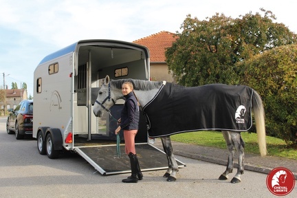 Remorque Van à Chevaux - MULTIMAX