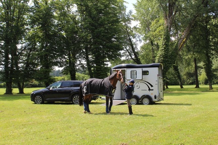 Remorque Van à Chevaux - TOURING COUNTRY