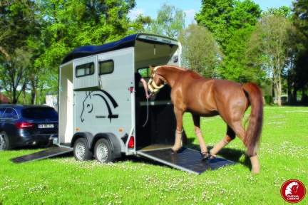 Remorque Van à Chevaux - TOURING ONE
