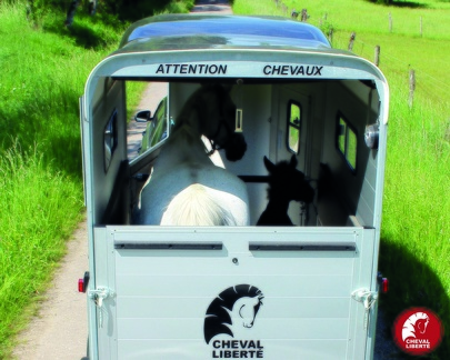 Remorque Van à Chevaux - TOURING ONE