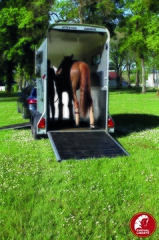 Remorque Van à Chevaux - TOURING ONE