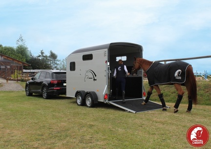 Remorque Van à Chevaux - MULTIMAX