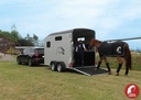 Remorque Van à Chevaux - MULTIMAX